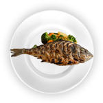 Special Fish  Single 